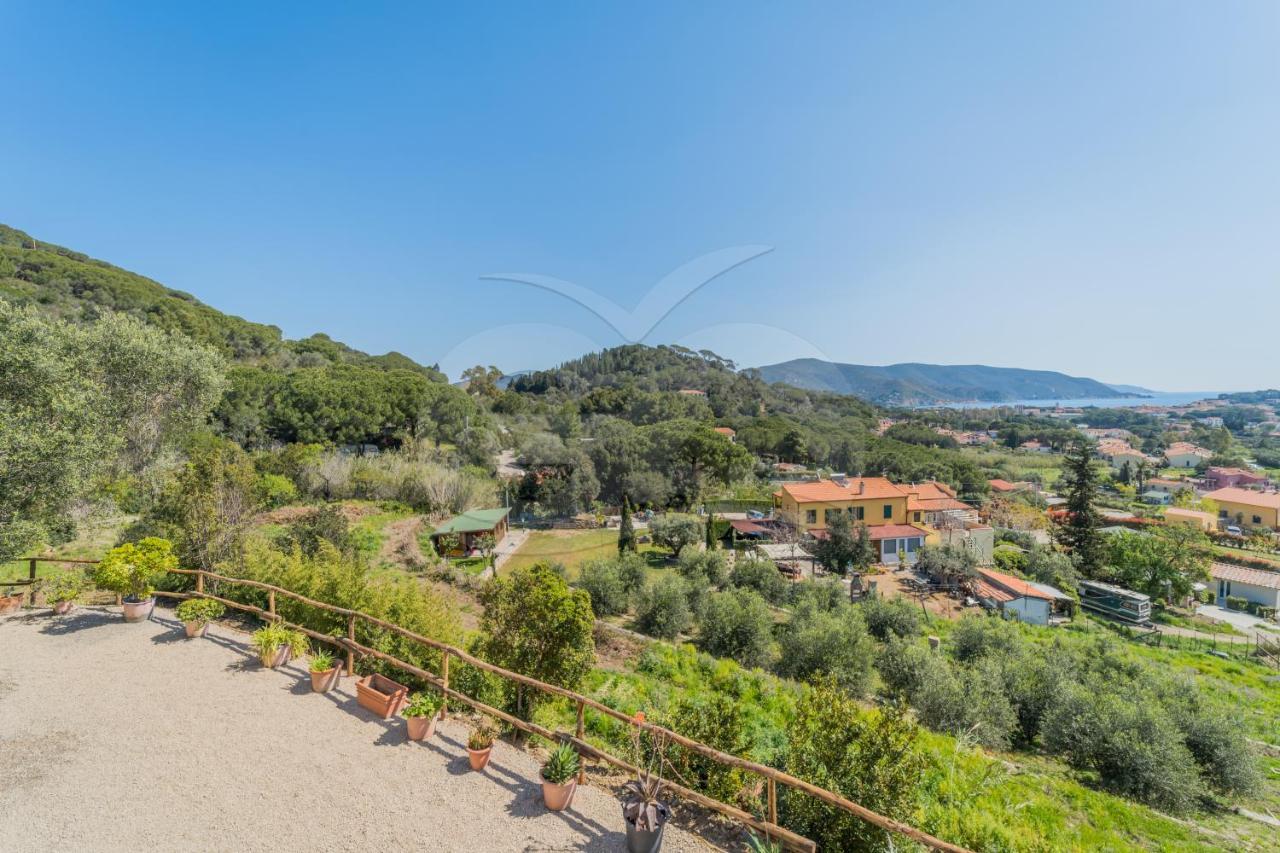 La Palazzina Nel Verde - Goelba Casa Alzi 外观 照片