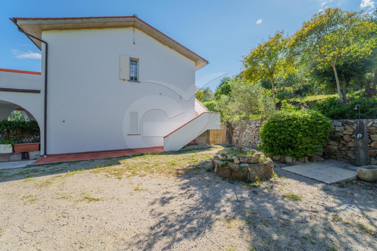 La Palazzina Nel Verde - Goelba Casa Alzi 外观 照片